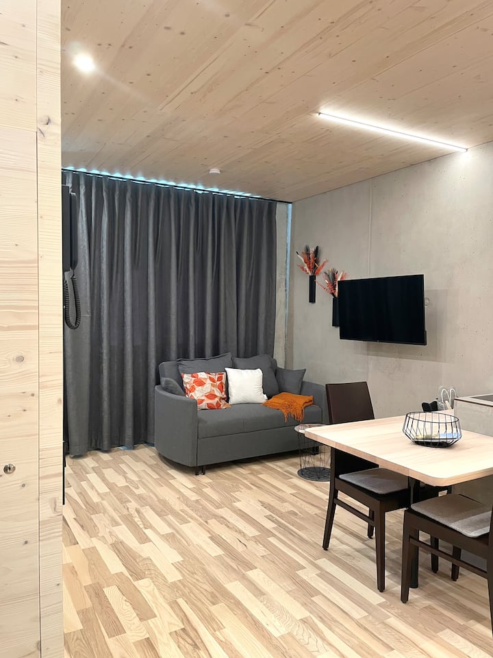 Hohentwiel Apartments - Deluxe Studio - Singen