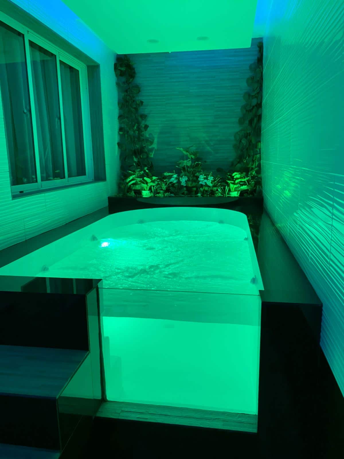 A private jacuzzi is situated within a serene environment, surrounded by vibrant green plants. Soft lighting casts a calming glow over the water, and large windows provide views of the outside. The sleek black edges of the jacuzzi contrast with the textured wall.