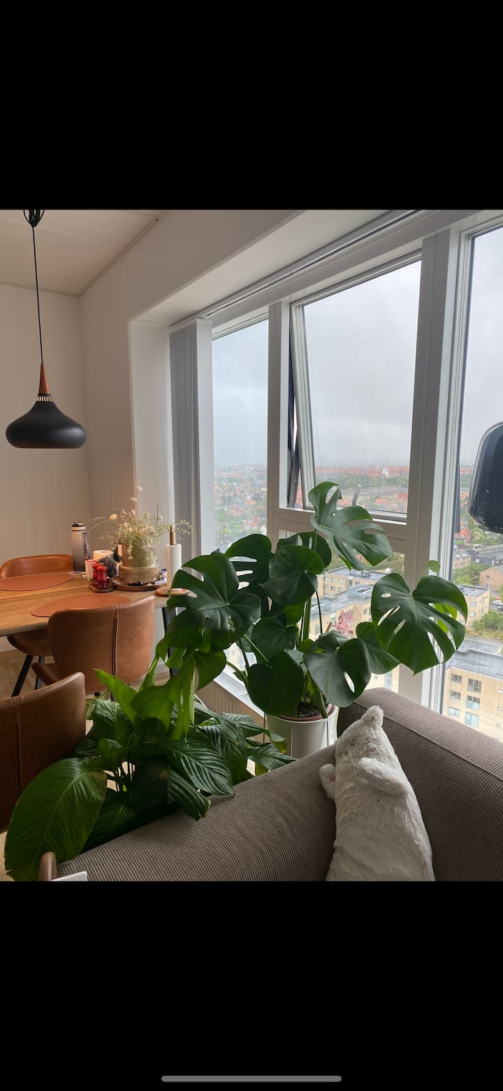 海边度假公寓 - Copenhague