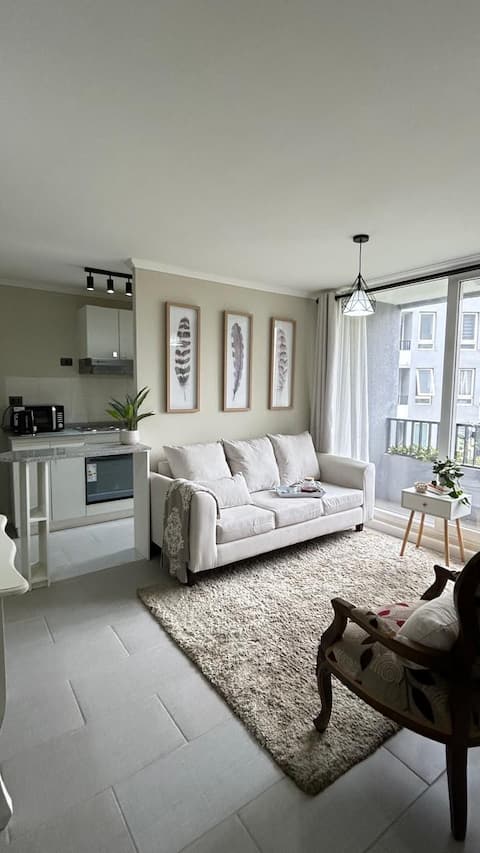 Top performing Airbnb: Warm and functional apartment in Chillán