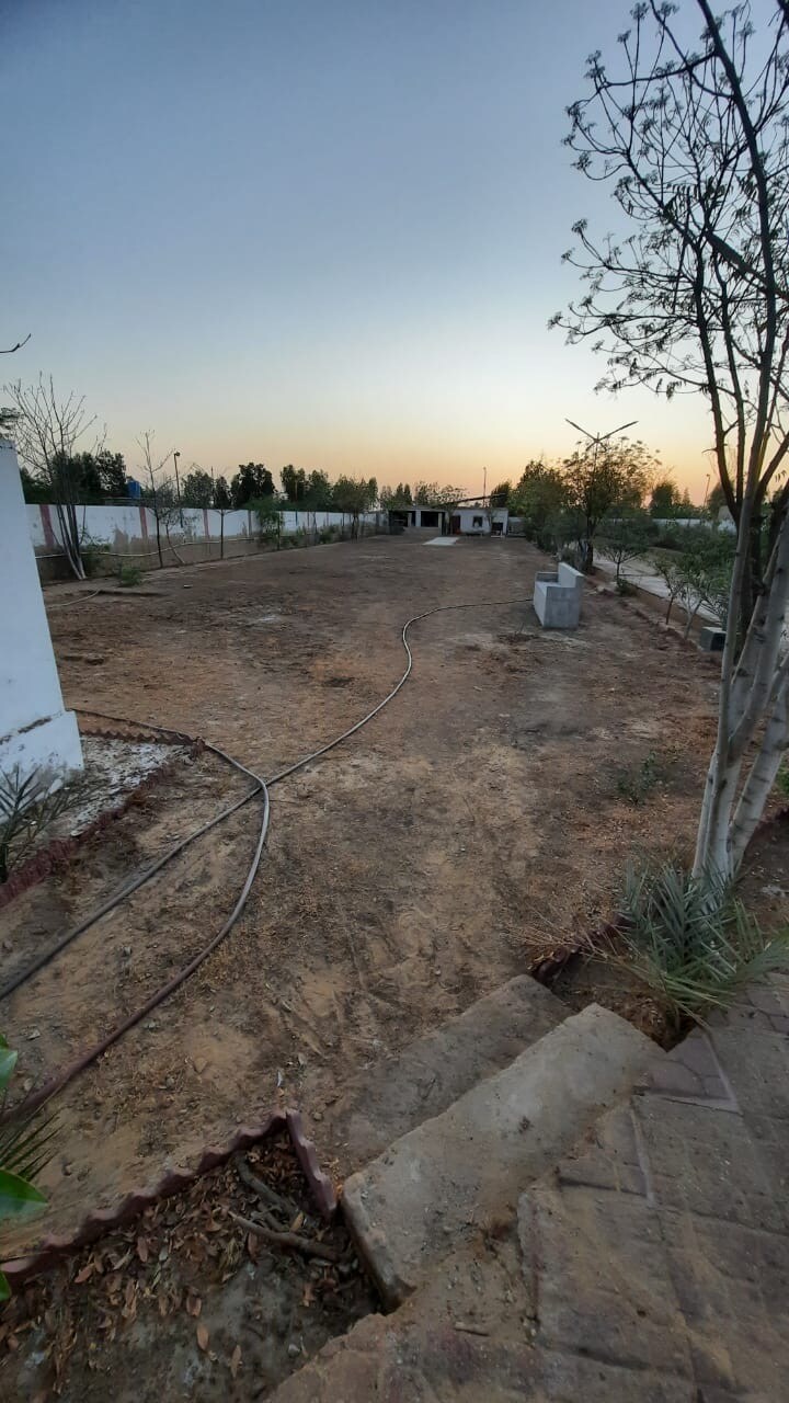 An expansive outdoor area is presented, showcasing a landscape gradually transitioning from dawn to daylight. Sparse trees and plants are visible along a dirt pathway, with utility lines running across the ground. Fencing marks the perimeter, creating a sense of openness in the space.