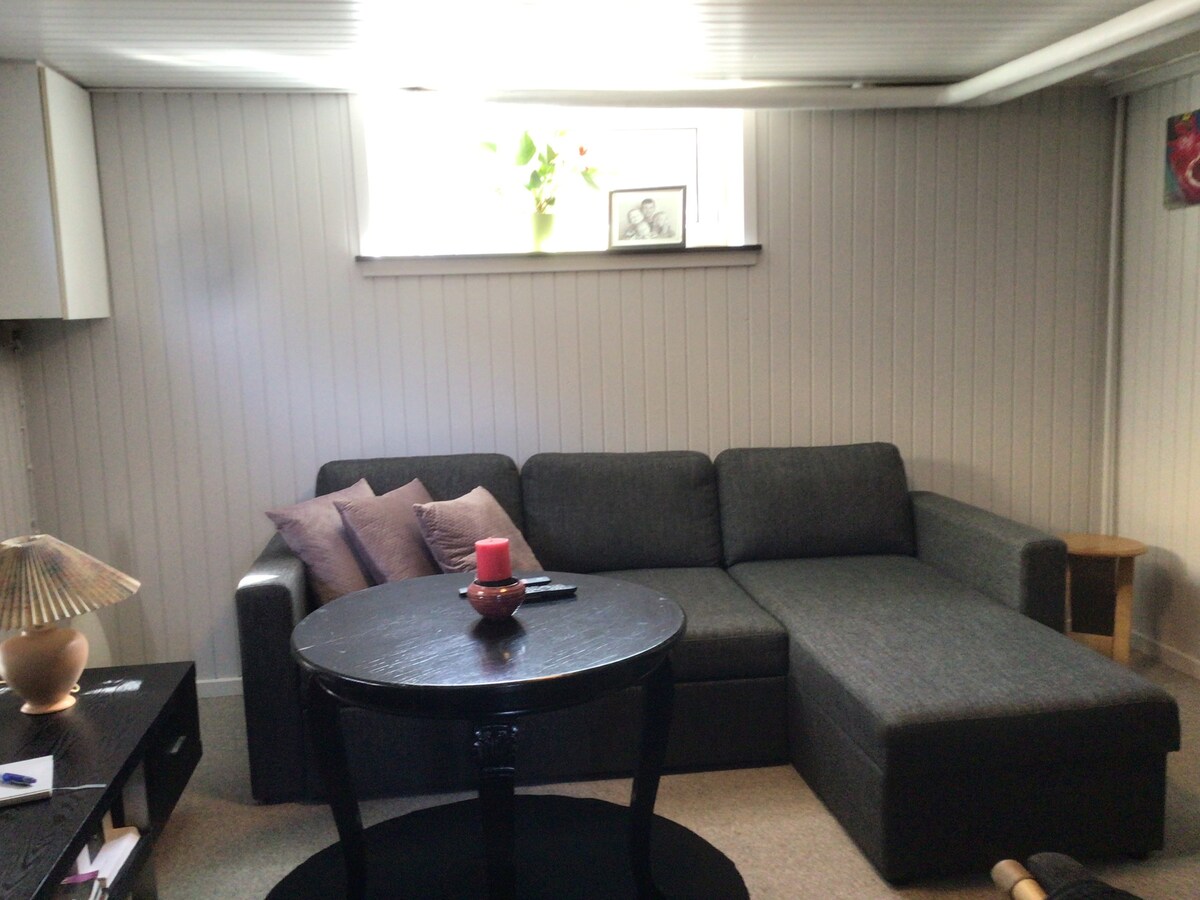 ספת פינתית בסלון. ניתן להמיר למיטה זוגית ברוחב 140 ס"מ.