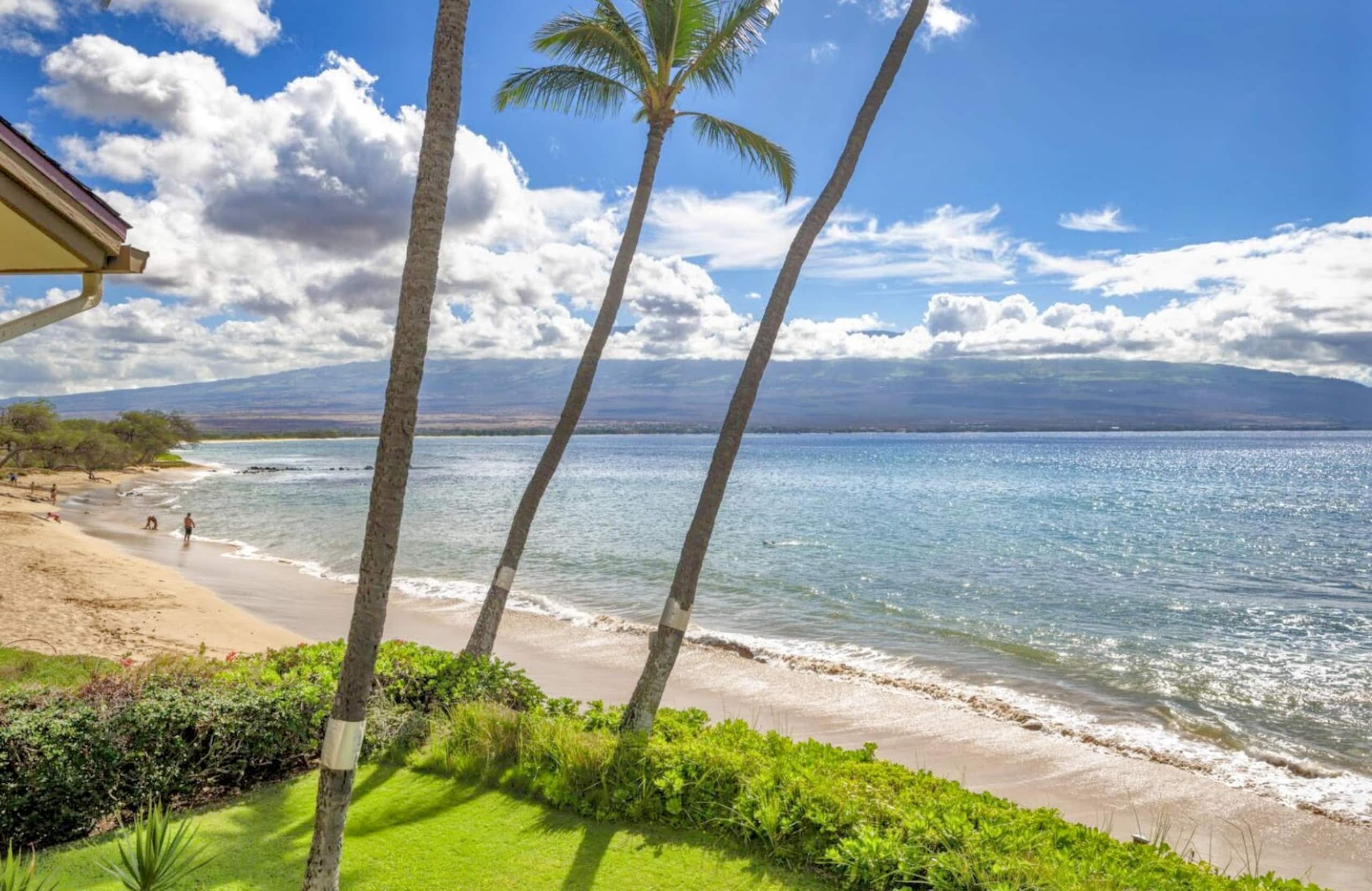 Condo in Wailuku · ★4.73 · 1 bedroom · 1 bed · 1 bath - Image 20