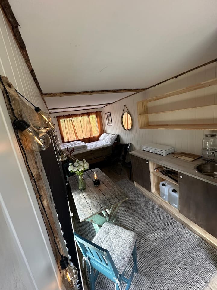 Дневен простор