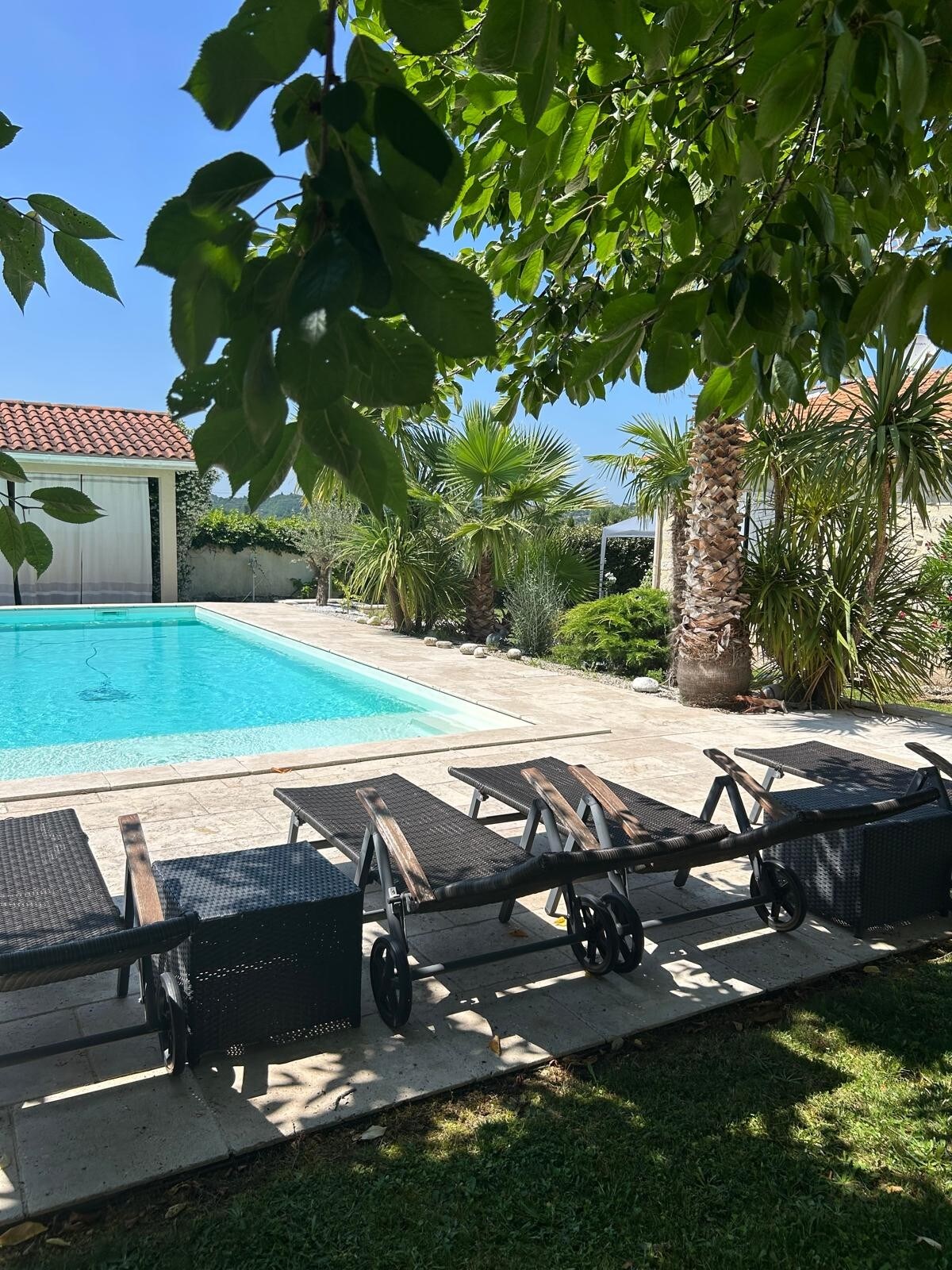 A shared outdoor pool is framed by lush greenery and palm trees, providing a refreshing atmosphere. Several lounge chairs are arranged neatly on the stone patio, inviting relaxation. The structure is visible in the background, enhancing the serene setting of the space.