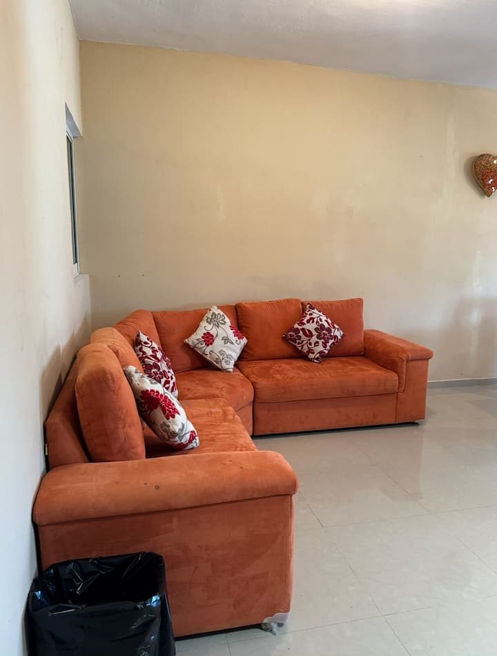 Gran Departamento Zona Centro. - San Francisco del Rincón