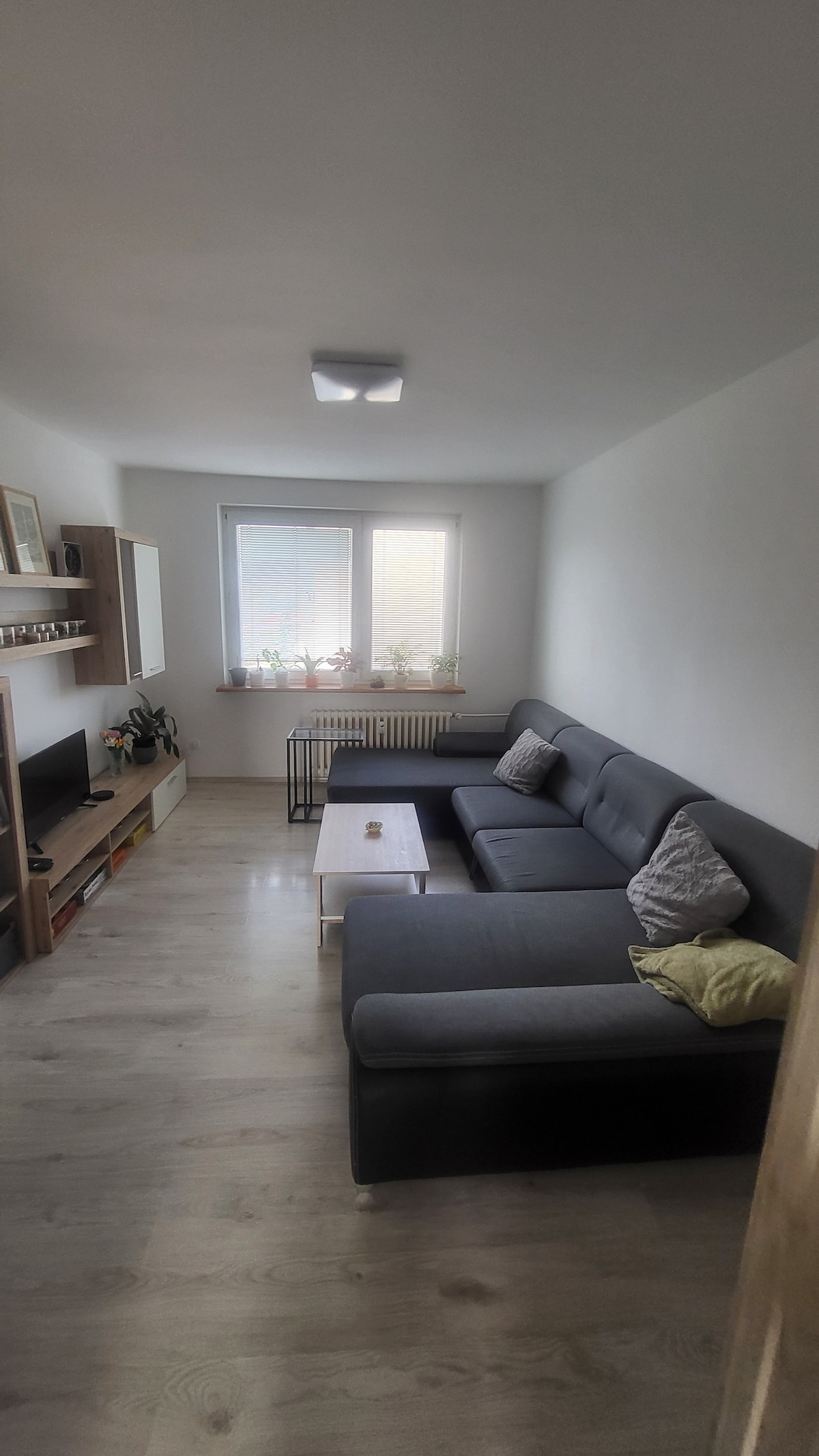 A modern living area is furnished with a spacious dark grey sectional sofa and a light wooden coffee table. Natural light enters through two windows, illuminating a simple decorative arrangement on the table. A television is positioned on a low shelf against the wall.