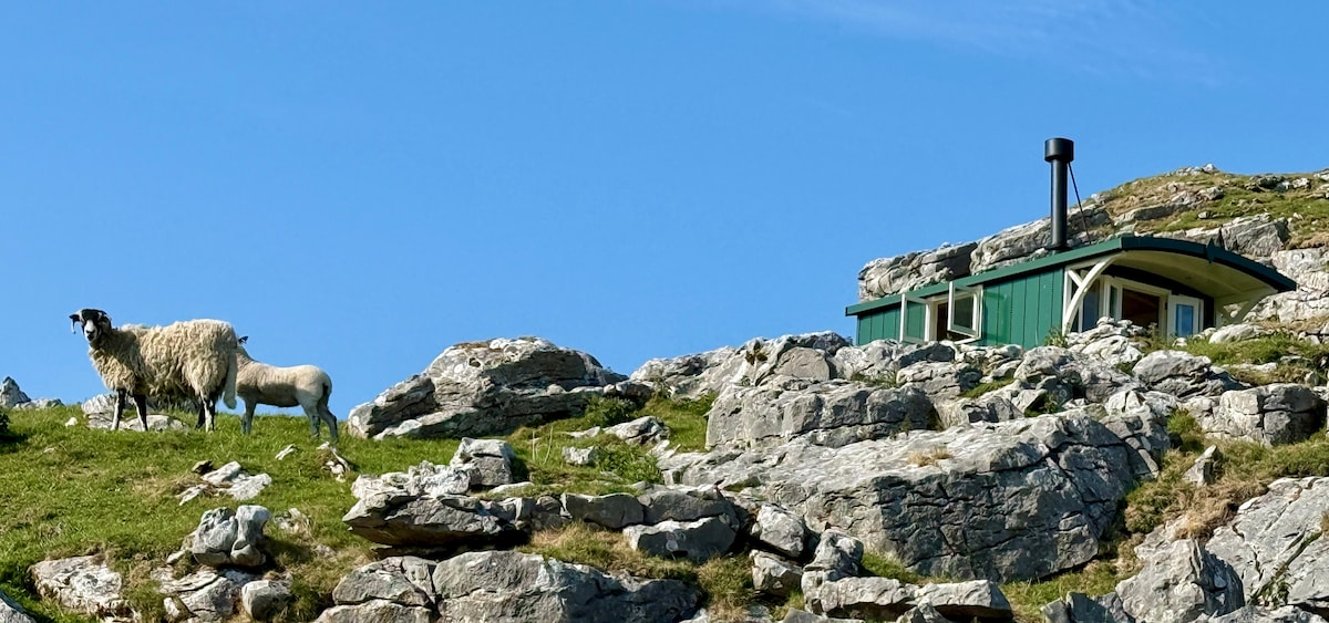 The image captures a scenic terrain where sheep graze on lush green grass among rocky formations. A compact, green structure with a chimney is visible in the background, set against a clear blue sky, highlighting the natural beauty of the off-grid location.