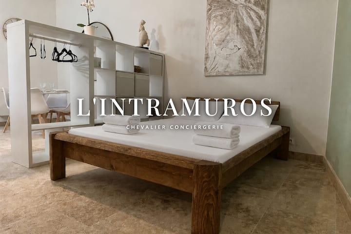 Lintramuros Charmant & Climatisé Cœur D'avignon - Avignon