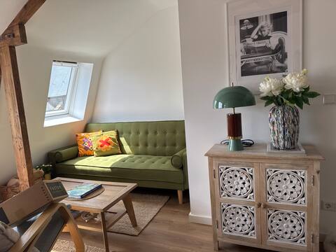 Top performing Airbnb: Cozy flat in historical center in Oude Stad