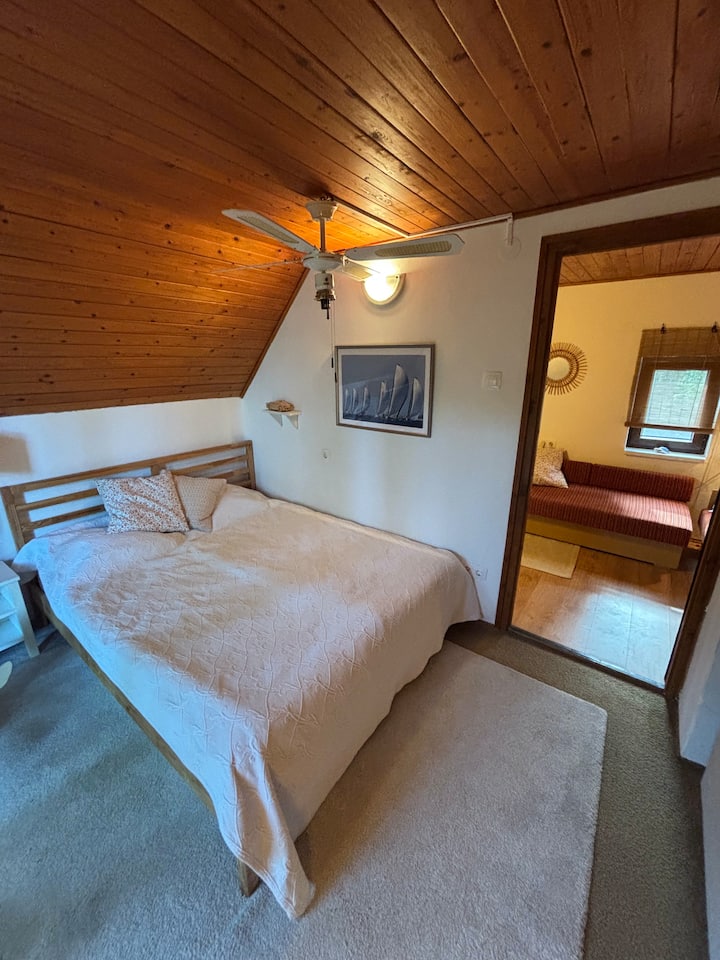 Habitación 1