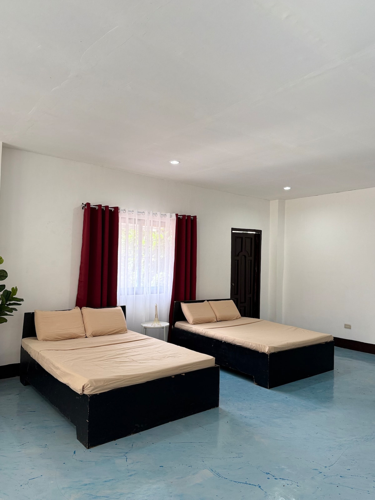 A spacious room features two simple beds with light-colored bedding, positioned beside a small table. Natural light enters through a window covered with sheer curtains, while dark red drapes frame the window. A green plant adds a touch of nature to the corner.