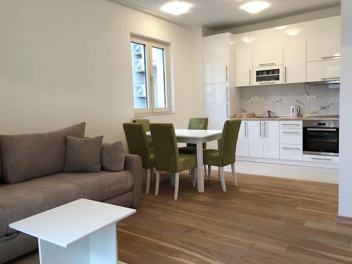 Apartment Visi 14 - 布德瓦