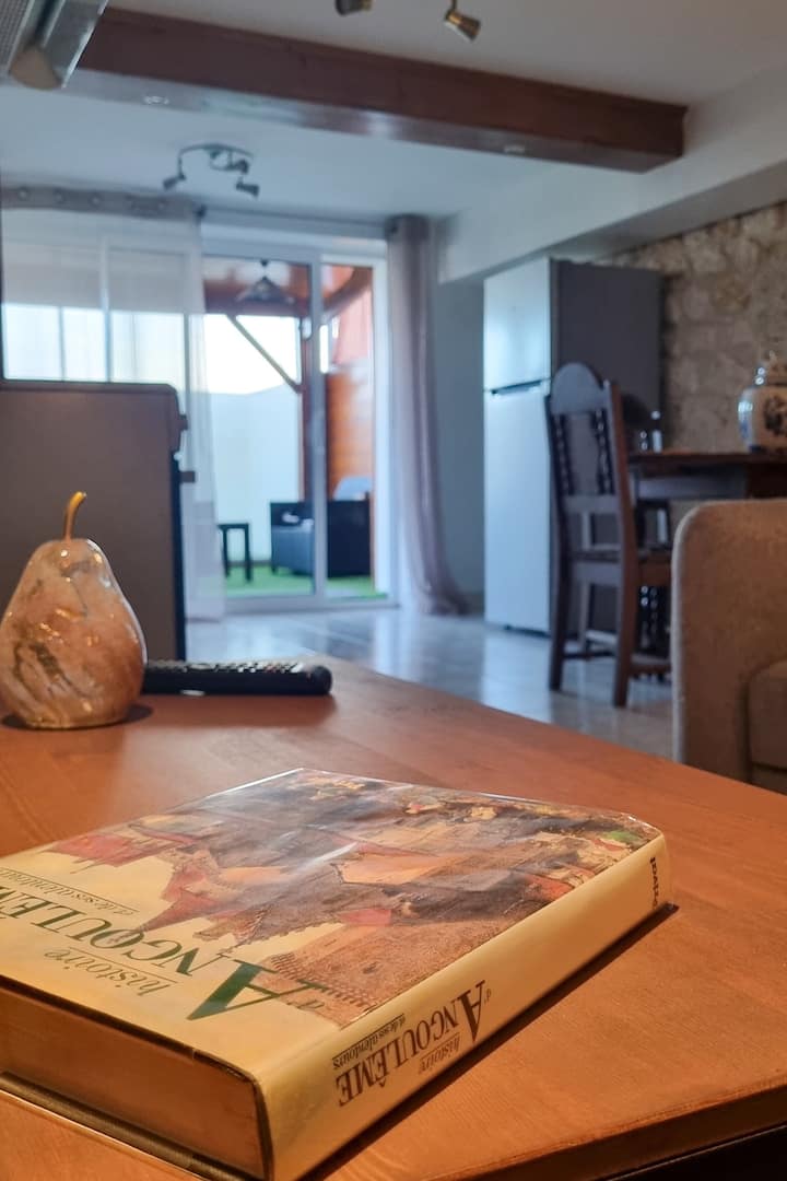 Appartement 50m² Avec Terrasse Et Cour Privée - Champniers