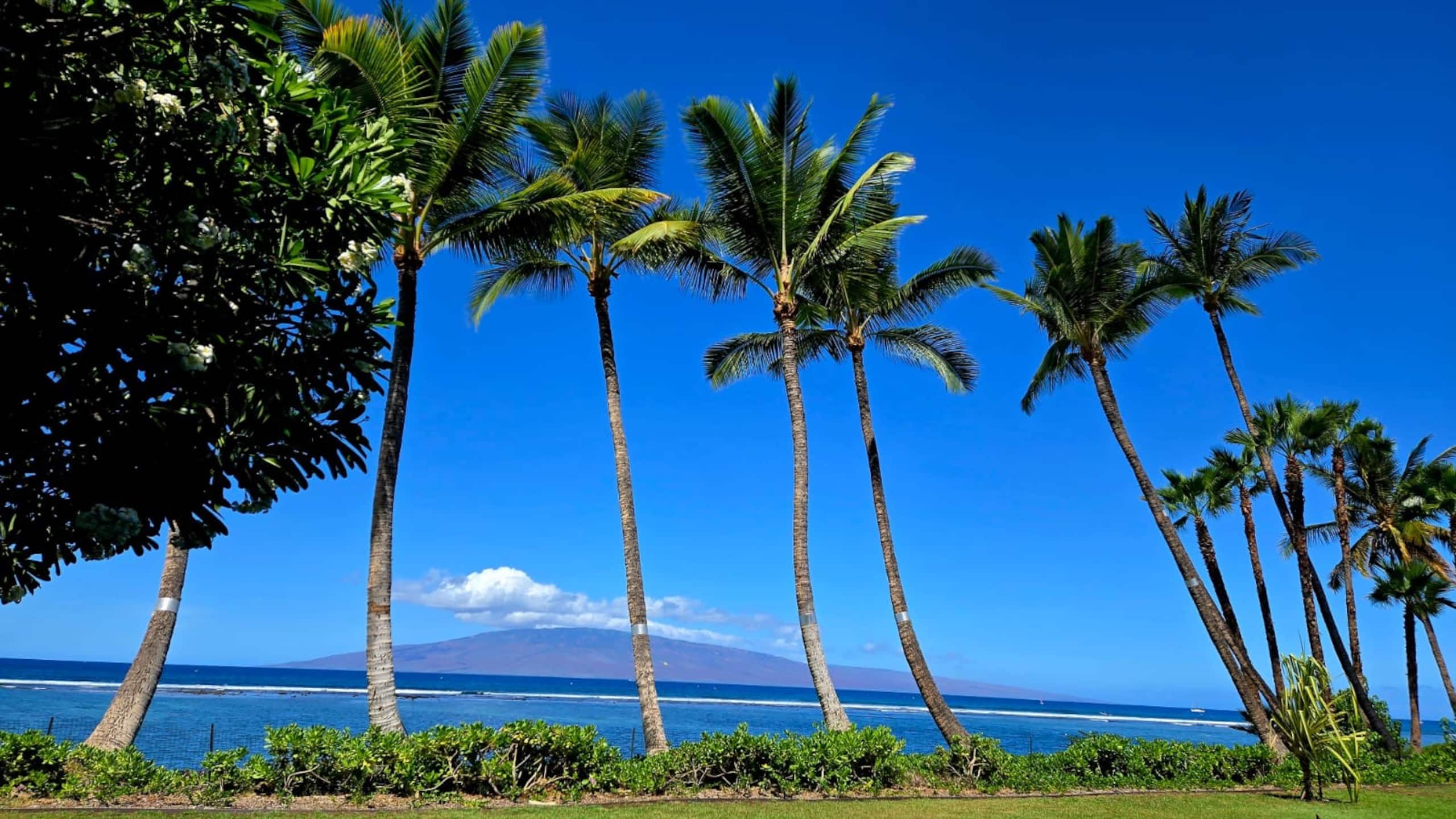 Condo in Lahaina · ★4.63 · Studio · 1 bed · 1 private bath - Image 16