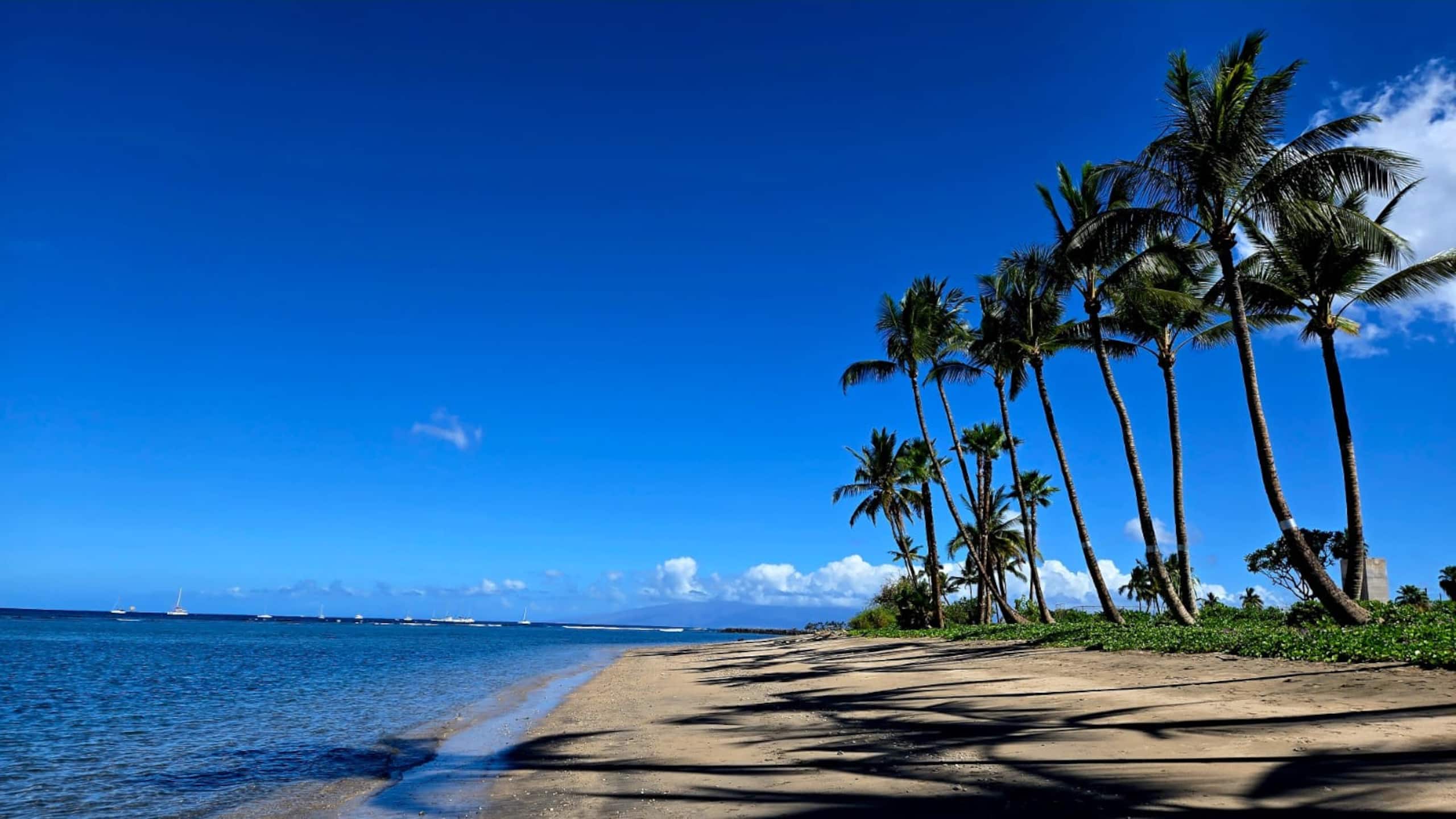 Condo in Lahaina · ★4.63 · Studio · 1 bed · 1 private bath - Image 14