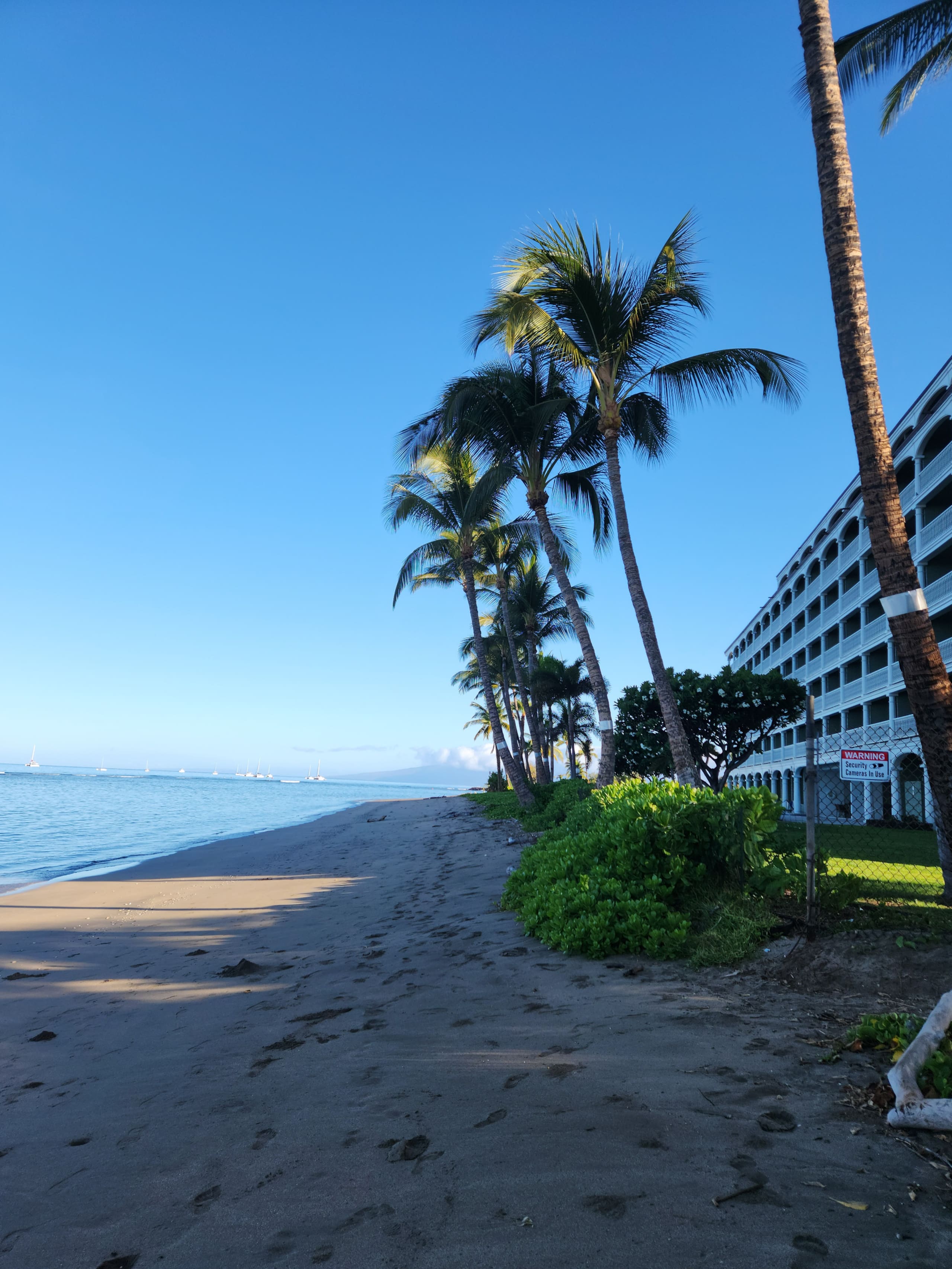 Condo in Lahaina · ★4.63 · Studio · 1 bed · 1 private bath - Image 12
