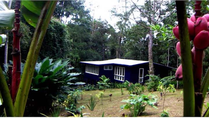 The Blue Cottage - Fiji