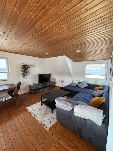 Large cozy apartment