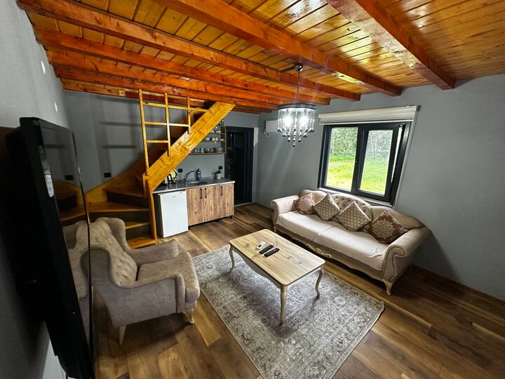 Büyükdere İKiz Villa - Rize Merkez