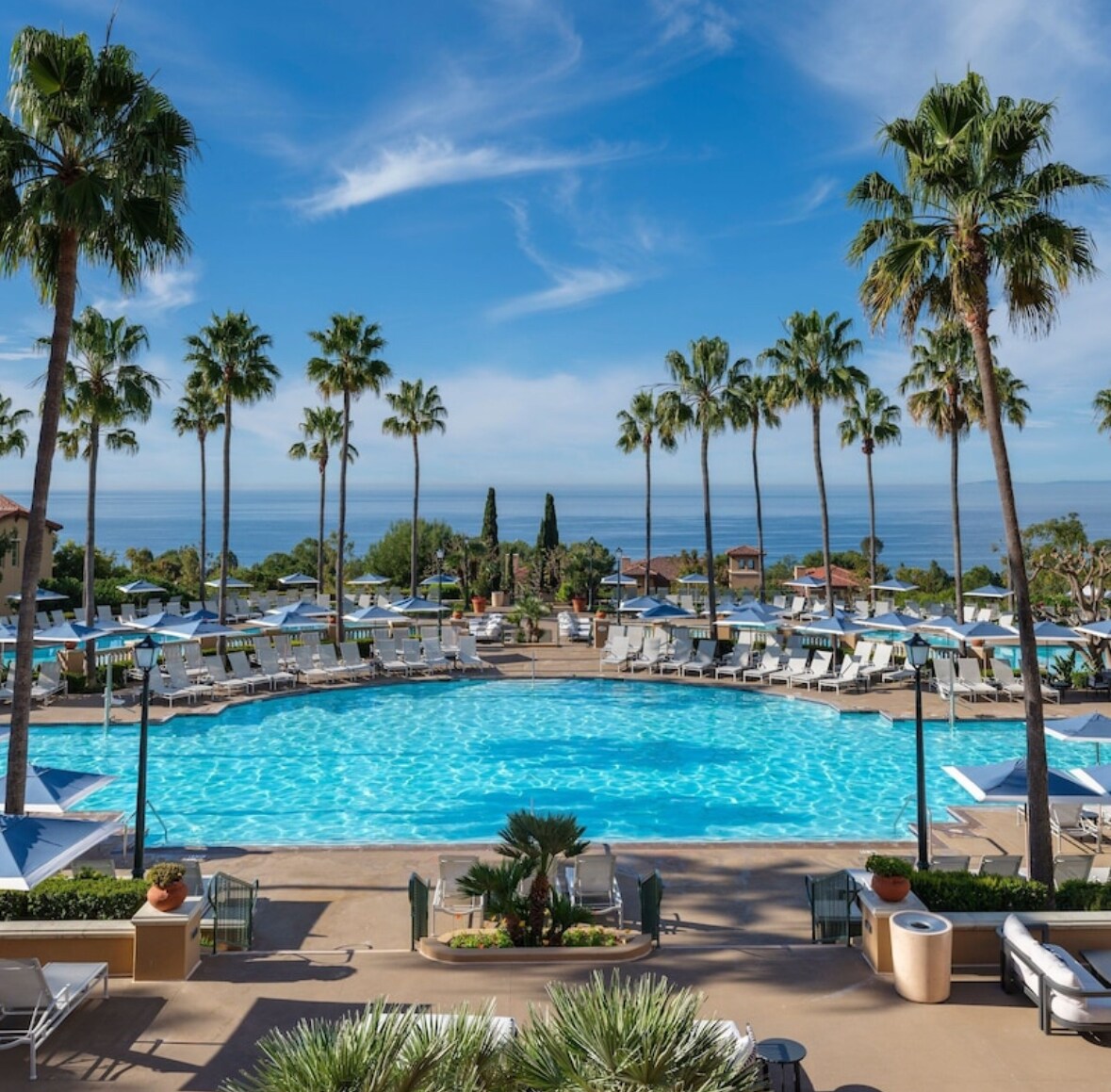 A large, inviting pool area is surrounded by palm trees, offering ocean views in the distance. Loungers are arranged neatly near the pool, with umbrellas providing shade. The tranquil landscape is enhanced by well-maintained plants and the serene blue water reflecting the sky.