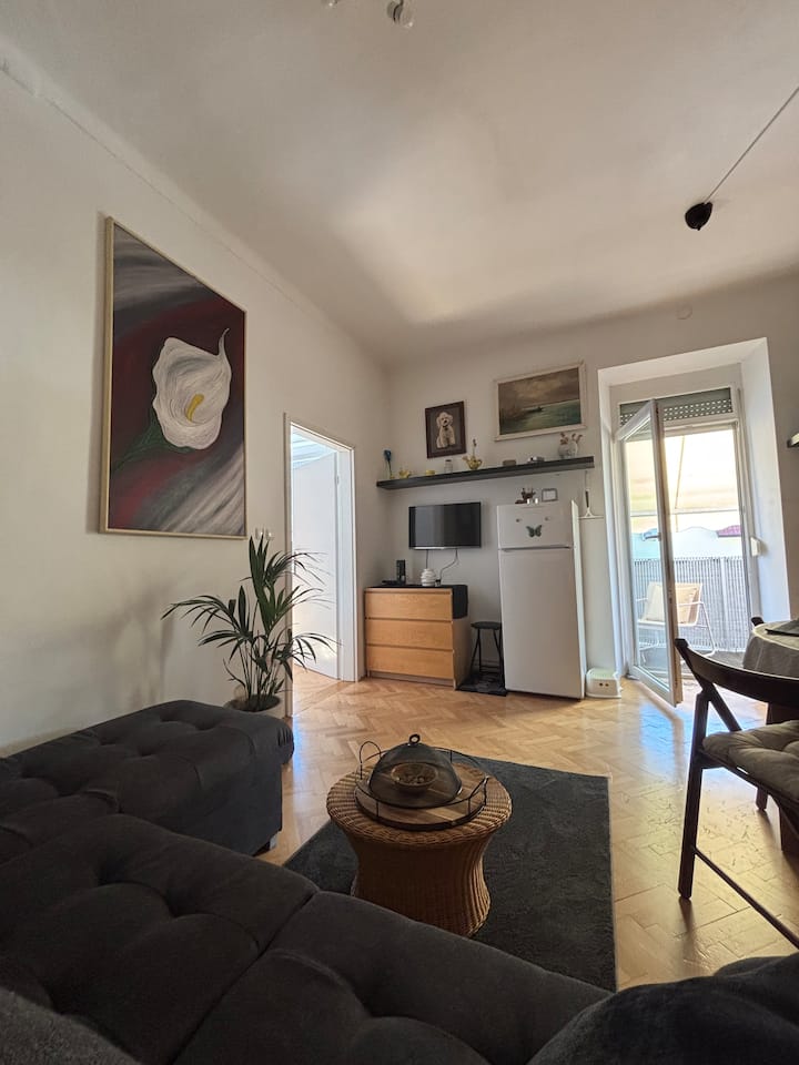 Calm Guesthouse With A Spacious Balcony - Liubliana