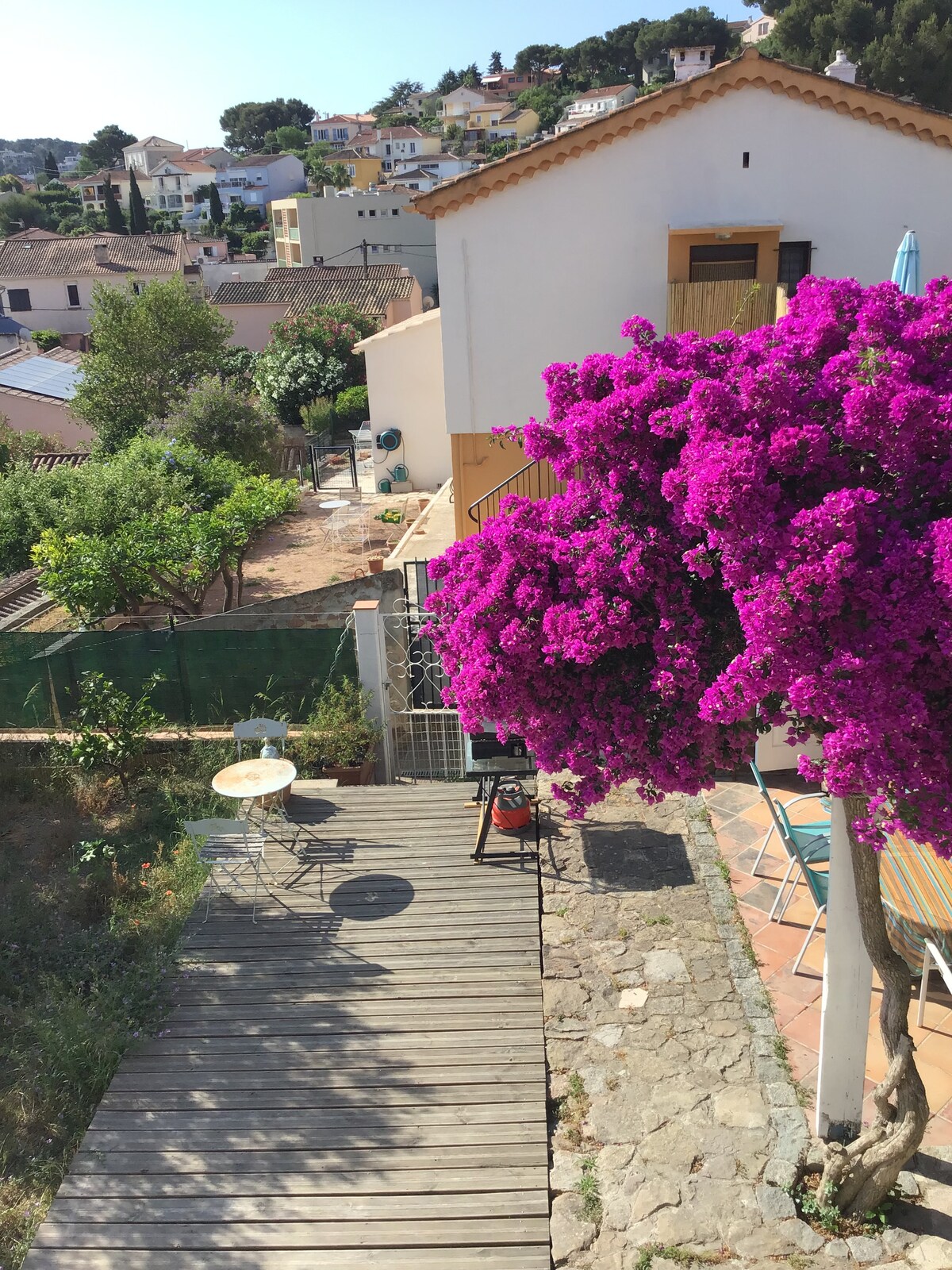 A vibrant bougainvillea tree adds a splash of purple to the outdoor area, complemented by a wooden deck featuring a small table and chairs. Views of the surrounding greenery and rustic landscape are visible in the background, along with a glimpse of neighboring structures.