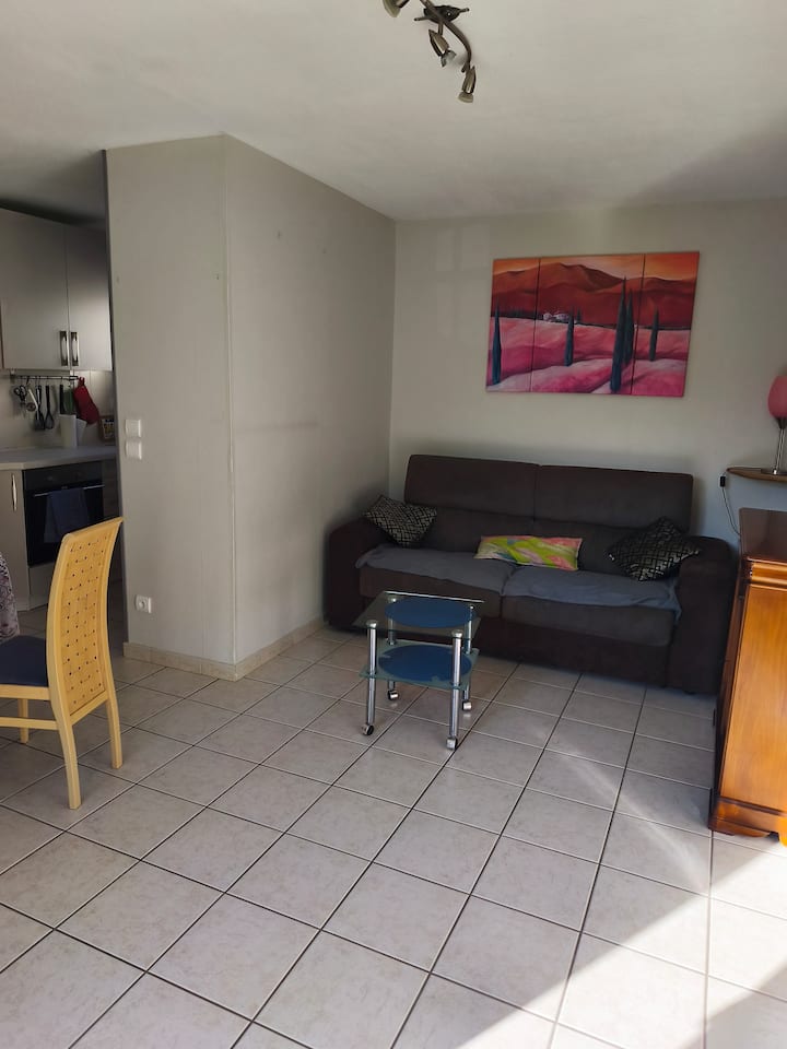 Joli Petit Appartement 4 Adultes - Walygator Grand Est