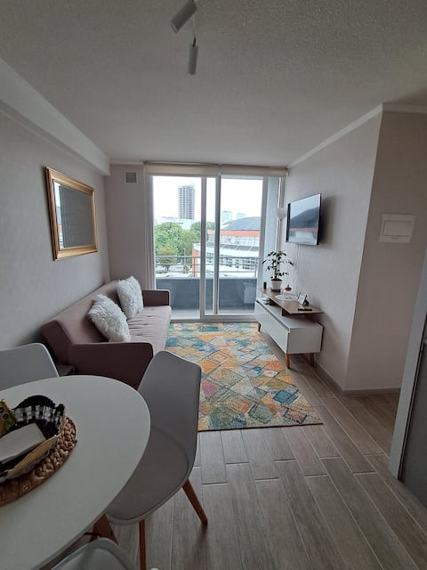 Popular Airbnb listing: Cozy apartment within walking distance of downtown in Puerto Montt