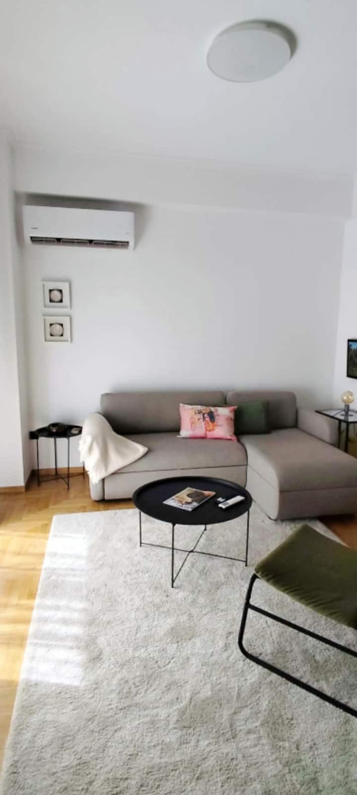 Fully equipped living room with a TV and a sofa that converts into a bed, perfect for relaxing.