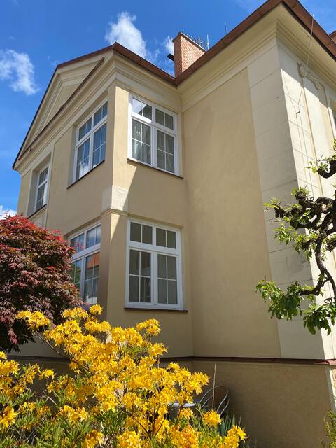 Large family flat