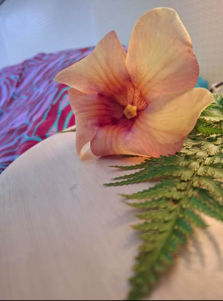 საძინებელი