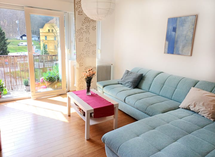 2bedroom Apartment Next To Tivoli Park - Ljubljana