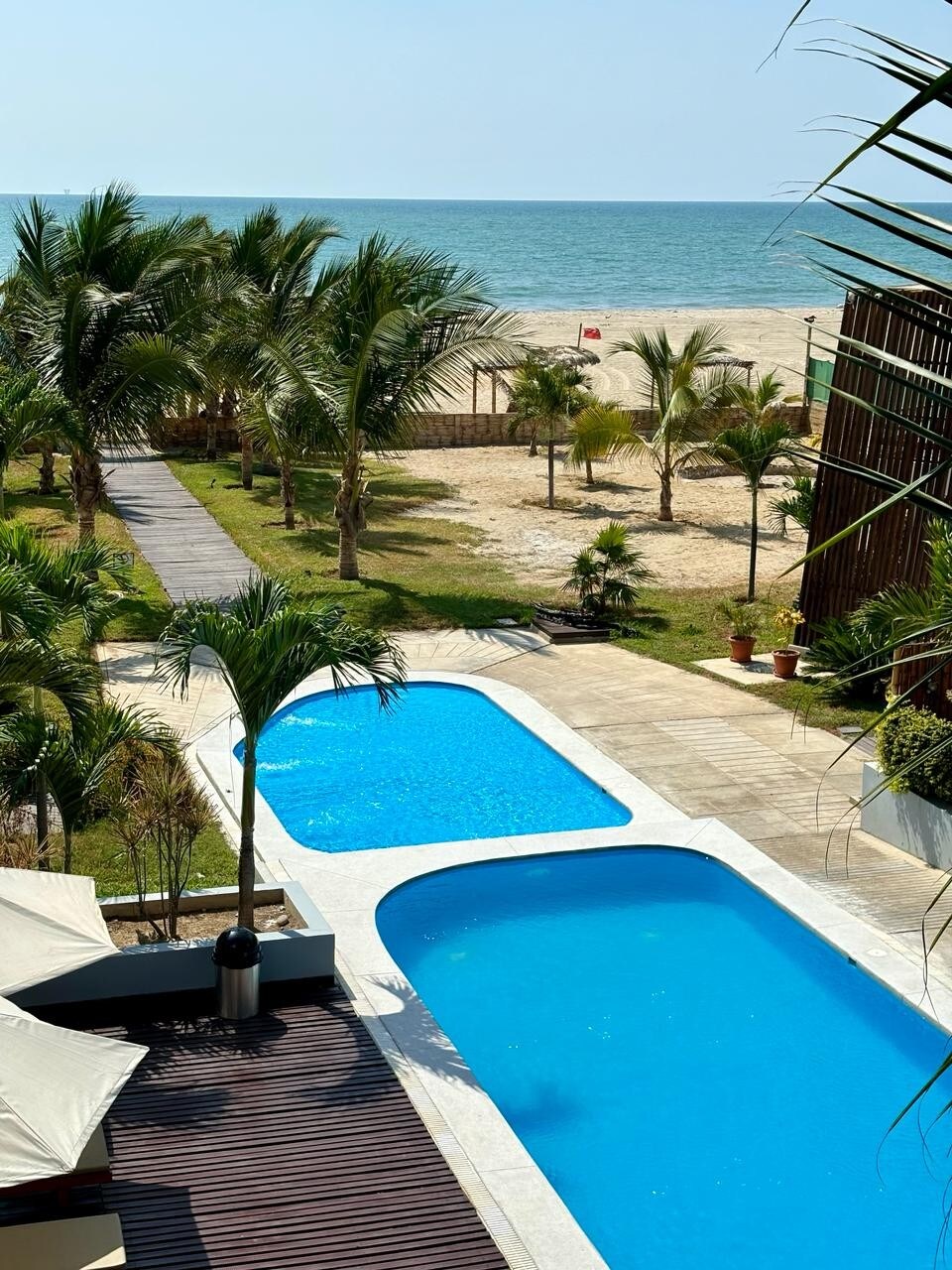 Two inviting swimming pools are surrounded by lush palm trees, with a sandy beach in the background. The ocean glistens under the sun, and neatly arranged potted plants add greenery to the landscape, enhancing the coastal view.