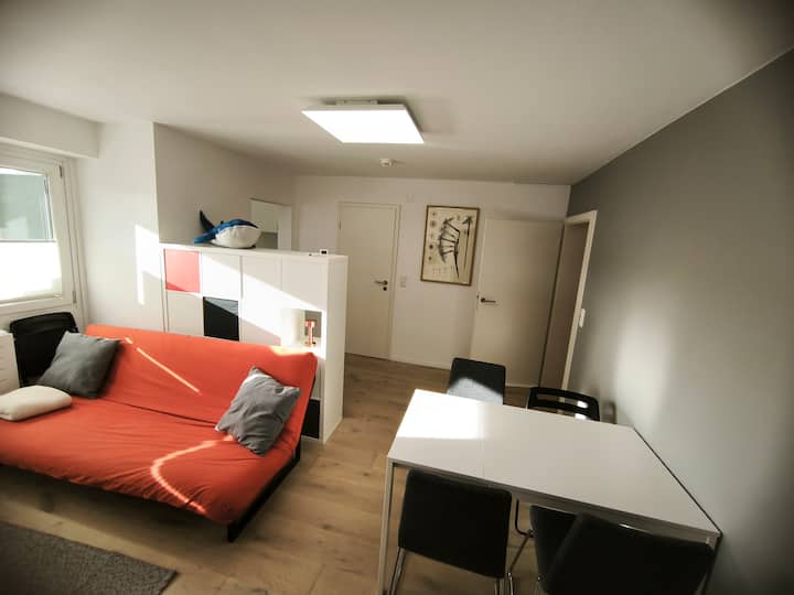 Quiet 1-bedroom Apartment Near University Hospital - 烏茲堡