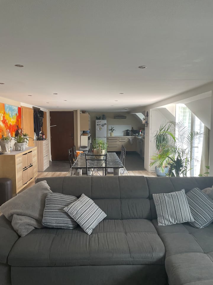 Grand Appartement, Terrasse, Tout éQuipé. - Lipsheim
