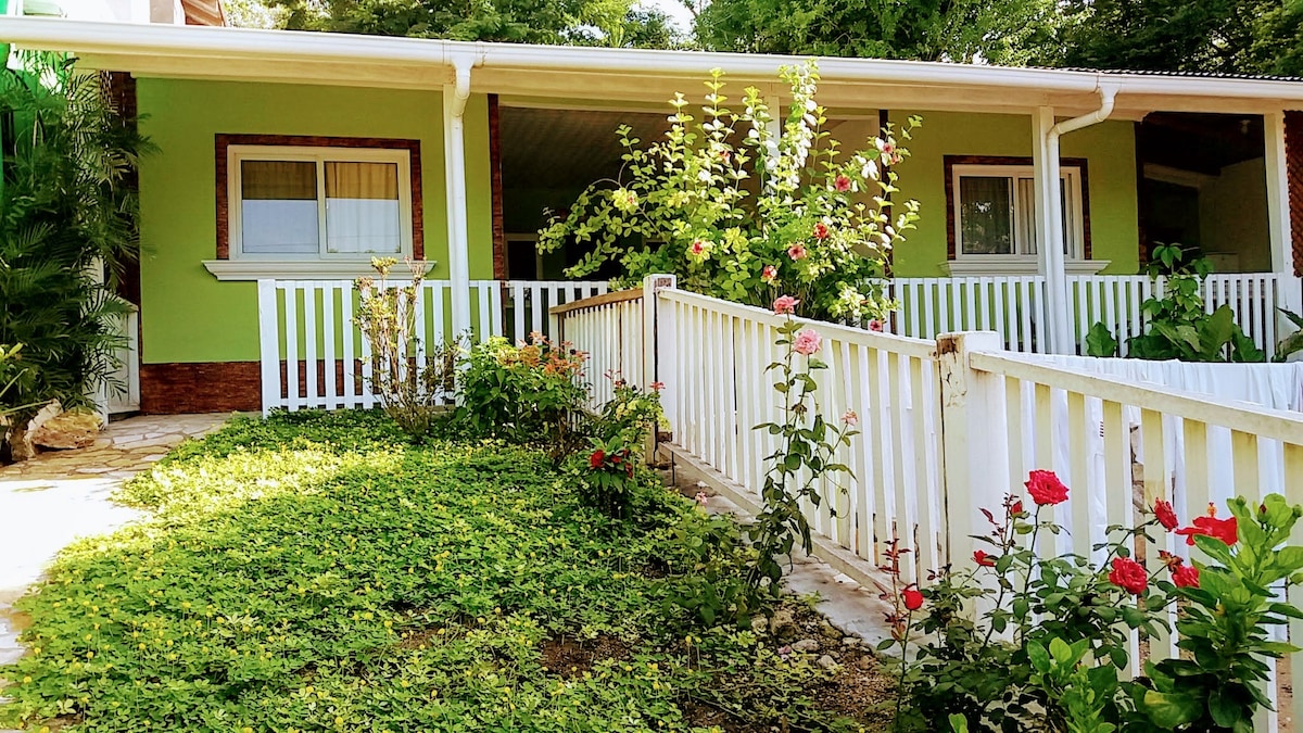 A charming exterior showcases a vibrant green house set against a backdrop of lush foliage. Colorful rose bushes flourish along a white picket fence, enhancing the inviting entrance. Windows are adorned with light curtains, allowing natural light to filter into the welcoming space.