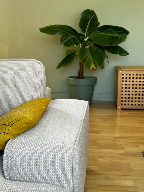 Successful Airbnb property: Apartment in Rotterdam Blijdorp in Noord