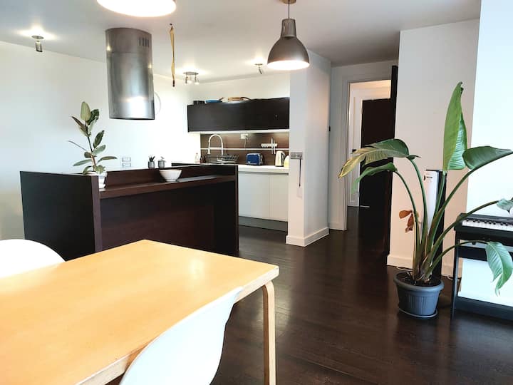 East London Top Floor Flat With Roof Terrace - London