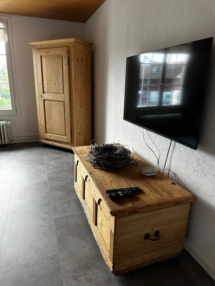 Cozy 3,5 Room City Apartment (2 Bedrooms) - Thun