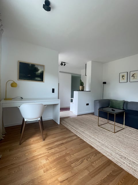 Bright studio with valley view