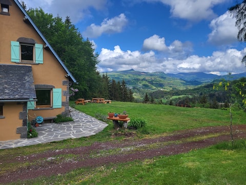 rest in the Sancy massif (lutea bis)