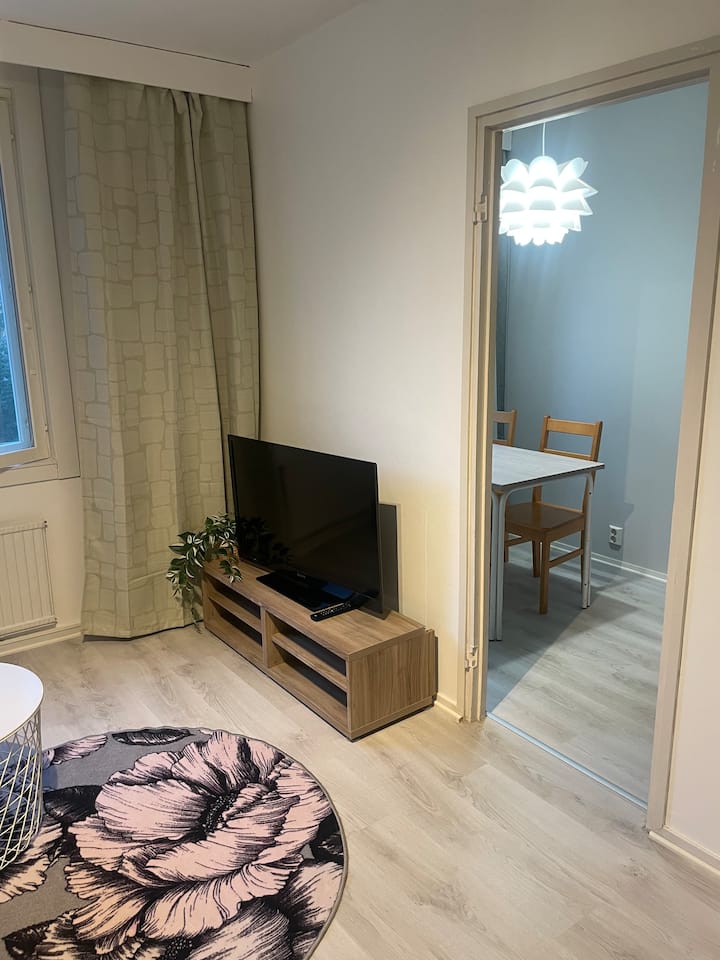 Viihtyisä Rauhallinen Yksiö, Lähellä Pysäköinti - Tampere