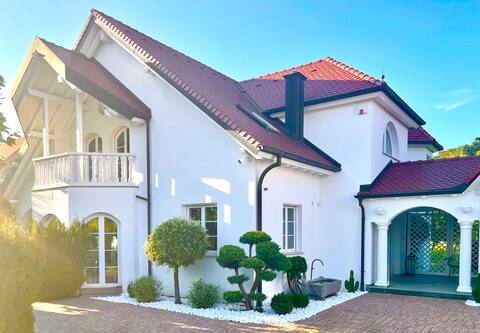 Holiday Wellness Villa Pool Party Events 4 Rent