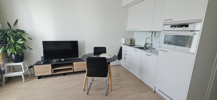 Lovely Studio Near Tikkurila Train St. 24h Checkin - Vantaa