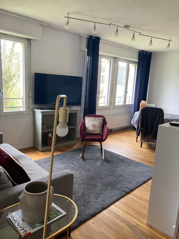 Appartement Ree De Chaussé Vue Sur Parc - Limoges