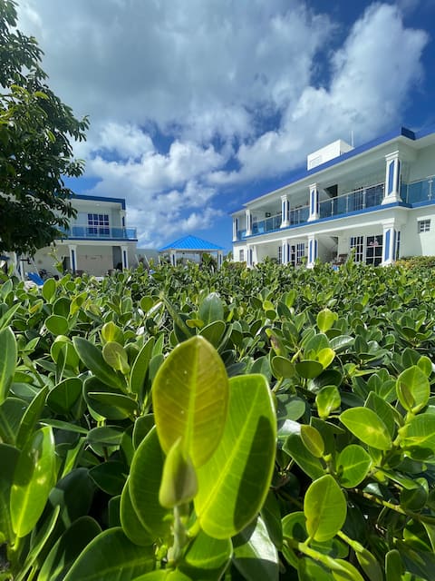 Apartment near the beach