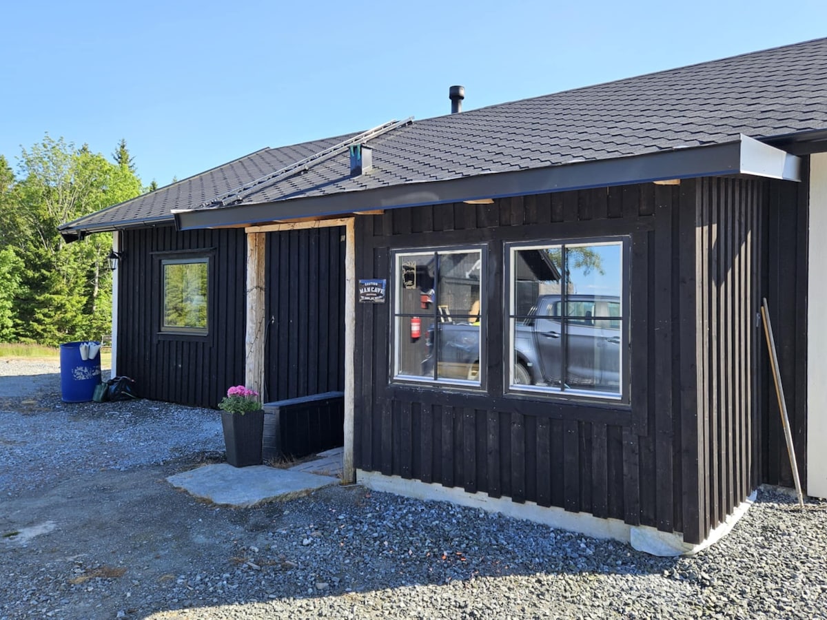 The exterior of a newly renovated cabin features a dark wooden façade with large windows allowing natural light to enter. A welcoming entrance is complemented by a potted plant. Surrounding greenery and a gravel pathway provide an inviting access to the cabin.