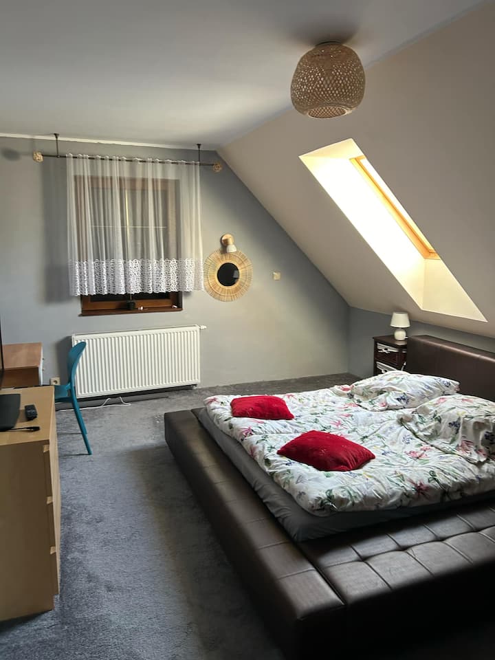 Habitación 1