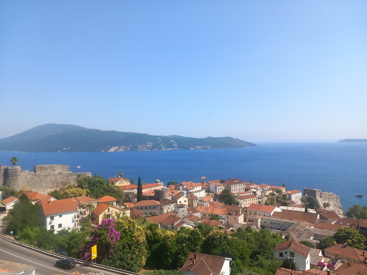 A panoramic view captures a coastal town with terracotta-roofed buildings nestled against a backdrop of lush greenery and gentle hills. The glistening sea stretches into the distance, with a clear sky overhead, providing a serene backdrop to the vibrant landscape.